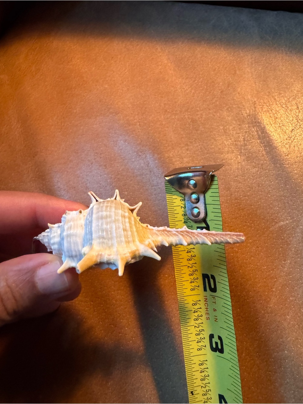 Shell earcuff earring single ๐ - Picture 8 of 9